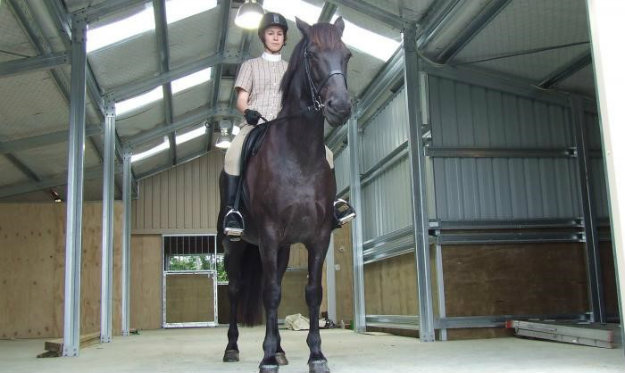 Horse with rider inside a stables